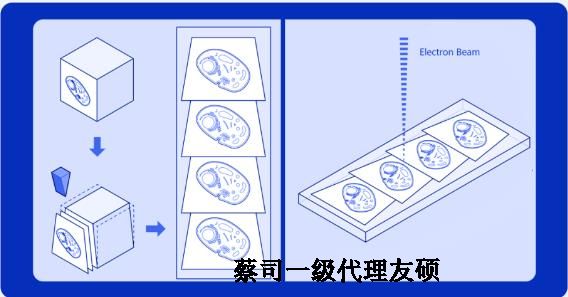 浙江蔡司浙江扫描电镜