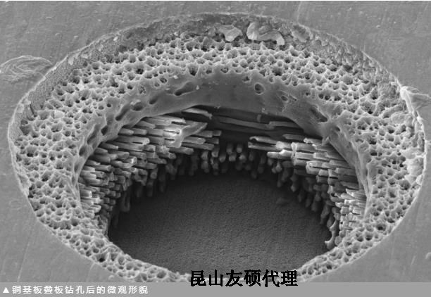 浙江蔡司浙江扫描电镜